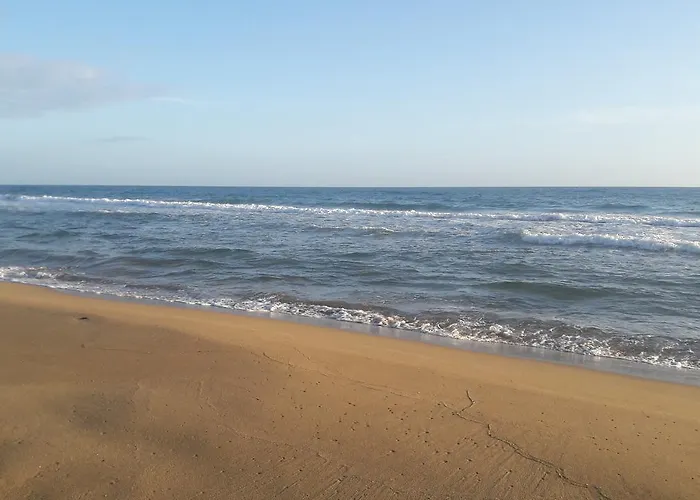 Foivos Seaside *